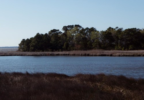 Exploring the Diverse Industries of Currituck County, NC